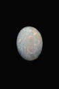 Australian white boulder opal on black background. Royalty Free Stock Photo