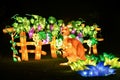 Australian Wineyard and Kangeroo Illuminated Lantern Royalty Free Stock Photo