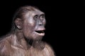 Australopithecus afarensis expression Royalty Free Stock Photo