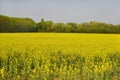 Austria, Agriculture