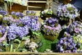 Austria, Easter Market Royalty Free Stock Photo