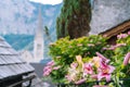 Austria, Hallstatt UNESCO historical village. Scenic picture-postcard view of famous mountain village in Austrian Alps in Royalty Free Stock Photo