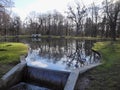 Austria, Laxenburg, goldfish pond Royalty Free Stock Photo