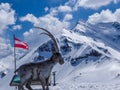 Austria - A monument of mountain goat with snowy mountains as a back drop Royalty Free Stock Photo