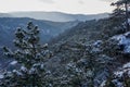 Wonderful winter forest landscape in the mountains. pine trees and rock nature landscape. austria. lower austria. moedling.