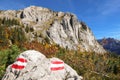 Austria - Path marks on the stone with massive mountain in the back