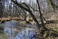 Austria, Pottendorf, marshland