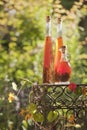 Austria, Salzburger Land, herbal essences in bottles on table in garden