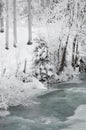 Austria, Salzburger Land, Winter scenery Royalty Free Stock Photo