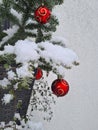 Austria, snow covered Plants at Christmas