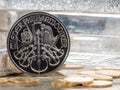 Austria Silver Coin with silver bars & gold coins Royalty Free Stock Photo