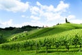 Austria, Slovenia Vineyards Sulztal, Herzerl Strasse