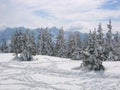 Austria / Snowy winter landscape