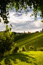 Austria, south styria vineyards travel destination. Tourist spot for vine