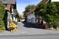 Austria, Styria, Pumpkins, Farm Store