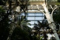 Palm house at Schonbrunn Palace