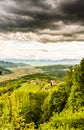 Austria vineyards landscape. Leibnitz area in south Styria, wine country Royalty Free Stock Photo
