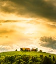 Austria vineyards in spring landscape. Leibnitz area in south Styria, wine country Royalty Free Stock Photo