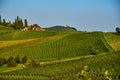 Austria Vineyards Sulztal an der Weinstrasse south Styria , wine country