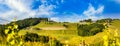 Austria Vineyards Sulztal weinstrasse south Styria tourist spot, wine country