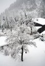 Austria winter scene Royalty Free Stock Photo