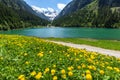 Austrian alpine landscape with blooming meadows in the springtime. Austria, Tyrol, Stillup Lake Royalty Free Stock Photo