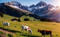 Austrian Alpine Splendor Idyllic Grazing in Tirol\'s Meadow