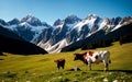 Austrian Alpine Splendor Idyllic Grazing in Tirol\'s Meadow