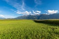 Austrian Alps with Corn Fields and Meadows Royalty Free Stock Photo