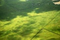 Austrian big forest and lake seen from a plane Royalty Free Stock Photo