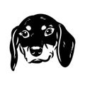 Austrian Black and Tan Hound austrian brandlbracke vector