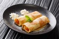 Austrian breakfast Palatschinken Apricot crepes with powdered sugar close-up in a plate. horizontal Royalty Free Stock Photo