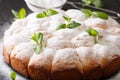 Austrian buchteln sweet yeast rolls decorated with mint and po