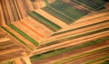 Austrian cultivated land seen from a plane