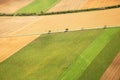 Austrian cultivated land seen from a plane Royalty Free Stock Photo