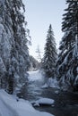 Austrian forest tirol with river and old house in the end Royalty Free Stock Photo