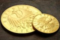 Austrian gold coins Royalty Free Stock Photo