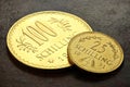 Austrian gold coins Royalty Free Stock Photo