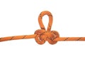 Austrian knot #02