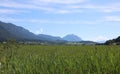 Austrian landscape of european Alps and valley