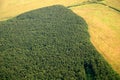 Austrian forest seen from a plane Royalty Free Stock Photo