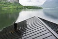 Austrian landscape with wet roofs Royalty Free Stock Photo