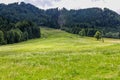 Austrian Meadow Royalty Free Stock Photo