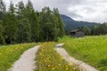 Austrian nature: between mountains, trees and meadows Royalty Free Stock Photo