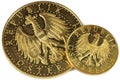 Austrian gold coins Royalty Free Stock Photo