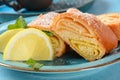 Austrian strudel with lemon and mint and with powdered sugar on a plate.