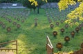 Austro-Hungarian Military Cemetery of Prosecco