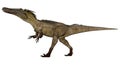 Austroraptor dinosaur -3D render Royalty Free Stock Photo