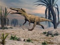 Austroraptor dinosaur walking -3D render Royalty Free Stock Photo