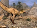 Austroraptor dinosaur walking -3D render Royalty Free Stock Photo